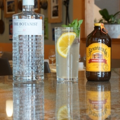 GINger Refresher