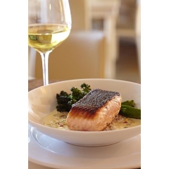 Salmon